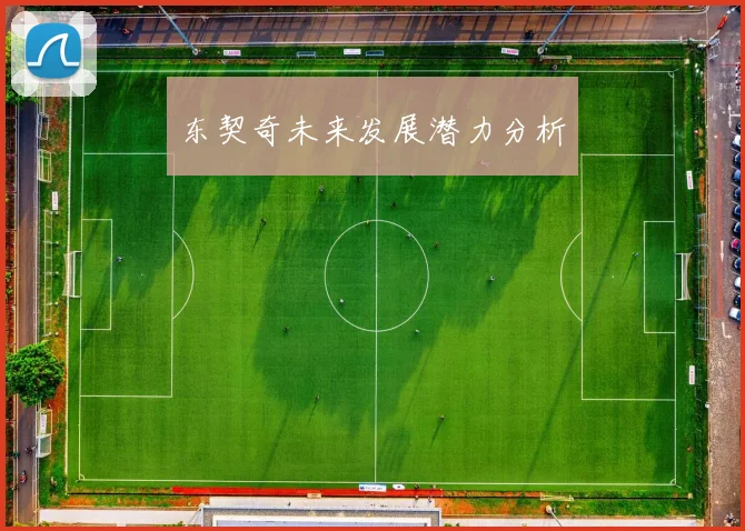 东契奇未来发展潜力分析
