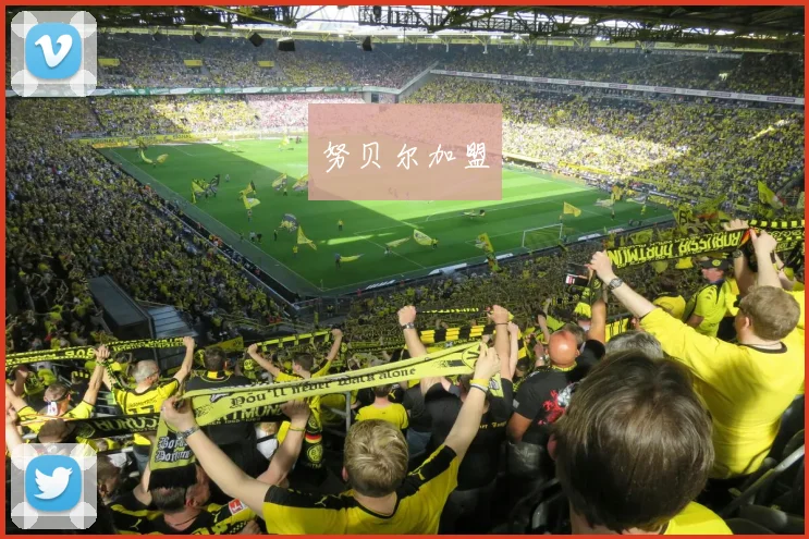 努贝尔加盟 - 米乐M6