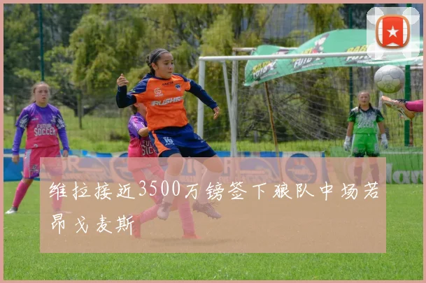 维拉接近3500万镑签下狼队中场若昂戈麦斯 - 米乐M6